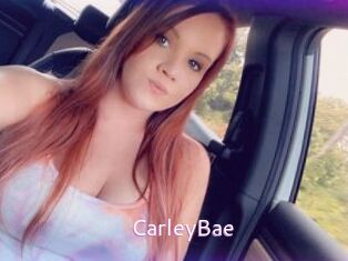 CarleyBae Just Amateurs