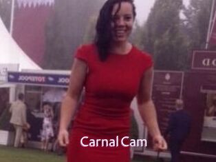 CarnalCam