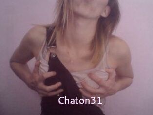 Chaton31