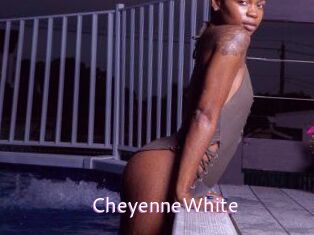 Cheyenne_White Just Amateurs