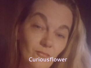 Curiousflower