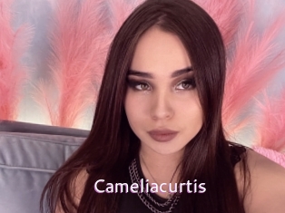 Cameliacurtis