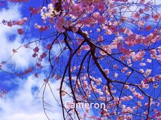 Cameron