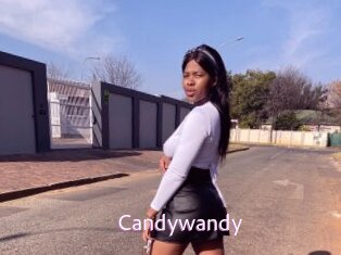 candywandy Just Amateurs