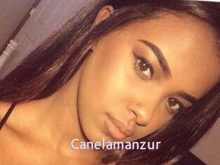 Canelamanzur