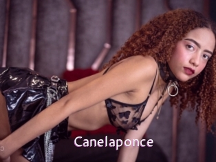 canelaponce Just Amateurs
