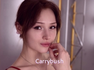 Carrybush