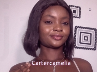 cartercamelia Just Amateurs