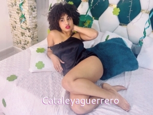 Cataleyaguerrero