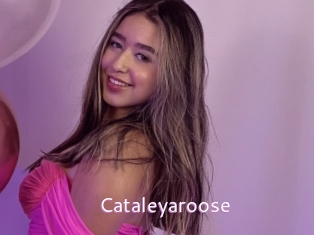 cataleyaroose Just Amateurs