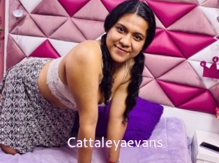 Cattaleyaevans