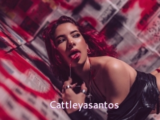 cattleyasantos Just Amateurs