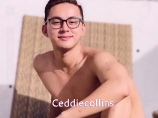 Ceddiecollins
