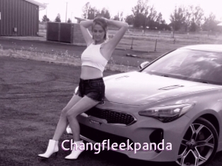 Changfleekpanda