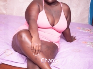 chany Just Amateurs
