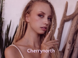 cherrynorth Just Amateurs