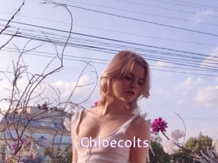 Chloecolts