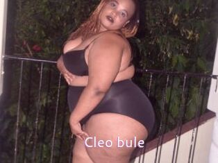 Cleo_bule