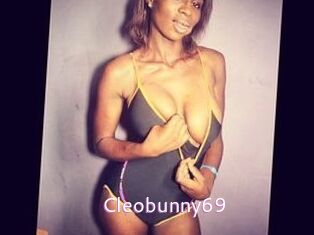 Cleobunny69