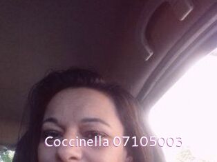 Coccinella-07105003