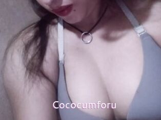 cococumforu Just Amateurs