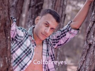 Coltonreyes