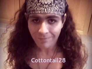 Cottontail28