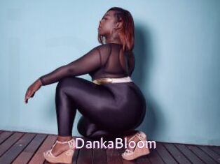 DankaBloom Just Amateurs