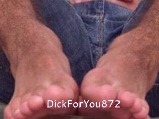 DickForYou872