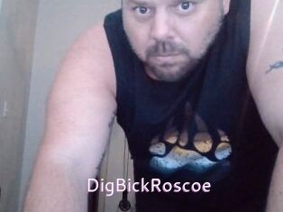 DigBickRoscoe