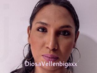 DiosaVellenbigaxx