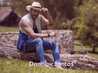 DomiinicSantos