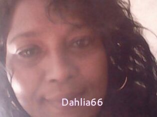 Dahlia66