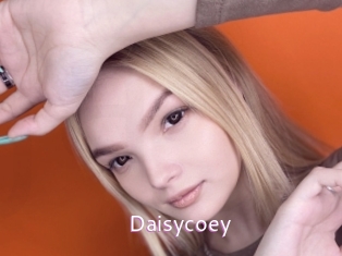 Daisycoey
