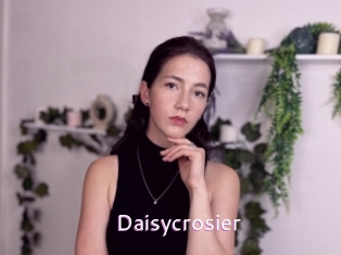 Daisycrosier