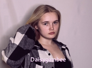 Daisygambee