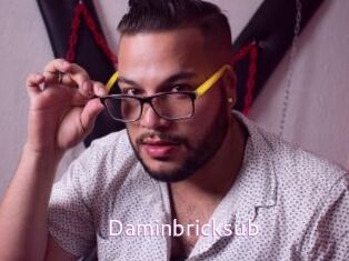 Daminbricksub