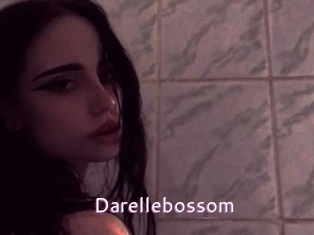 Darellebossom