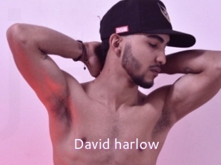 David_harlow