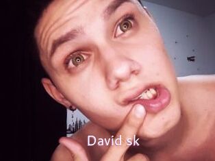 David_sk