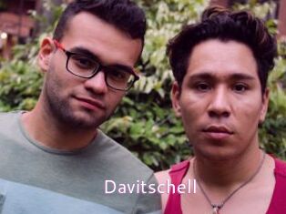 Davitschell