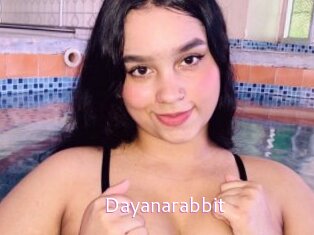 Dayanarabbit