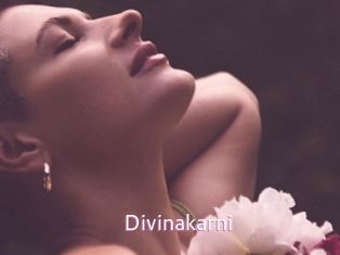 divinakarni Just Amateurs