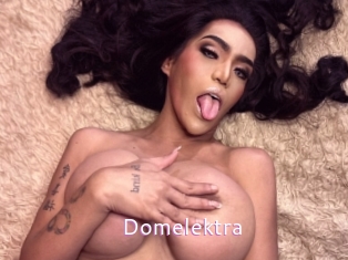 domelektra Just Amateurs