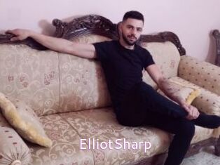 ElliotSharp Just Amateurs