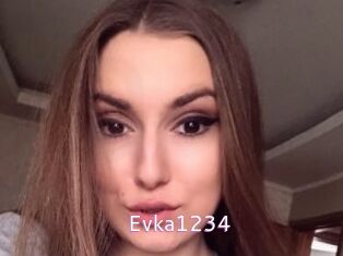 Evka1234