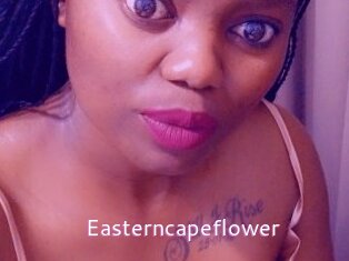 Easterncapeflower