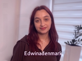 edwinadenmark Just Amateurs