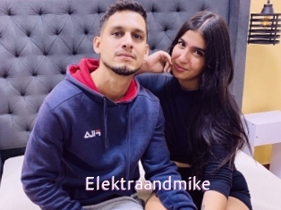 Elektraandmike