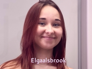 Elgaalsbrook